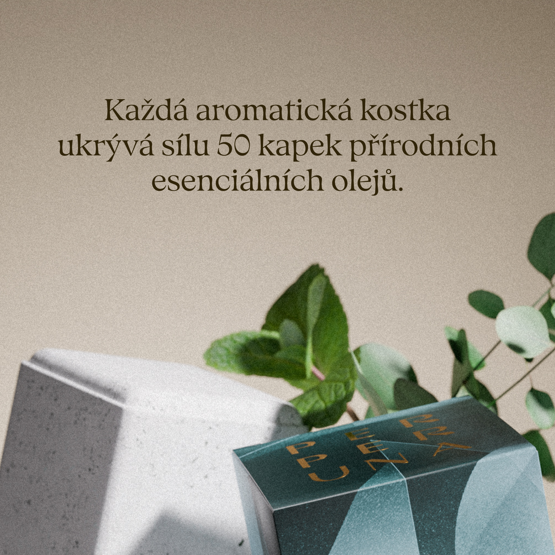 Breathe - Sprchová aromatická kostka