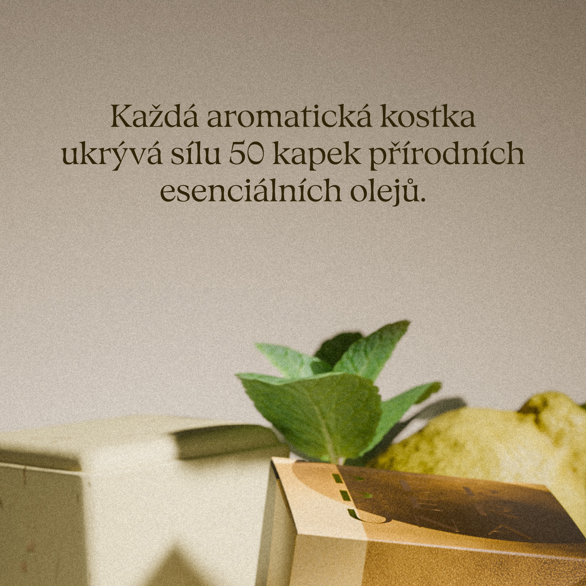 Uplift - Sprchová aromatická kostka