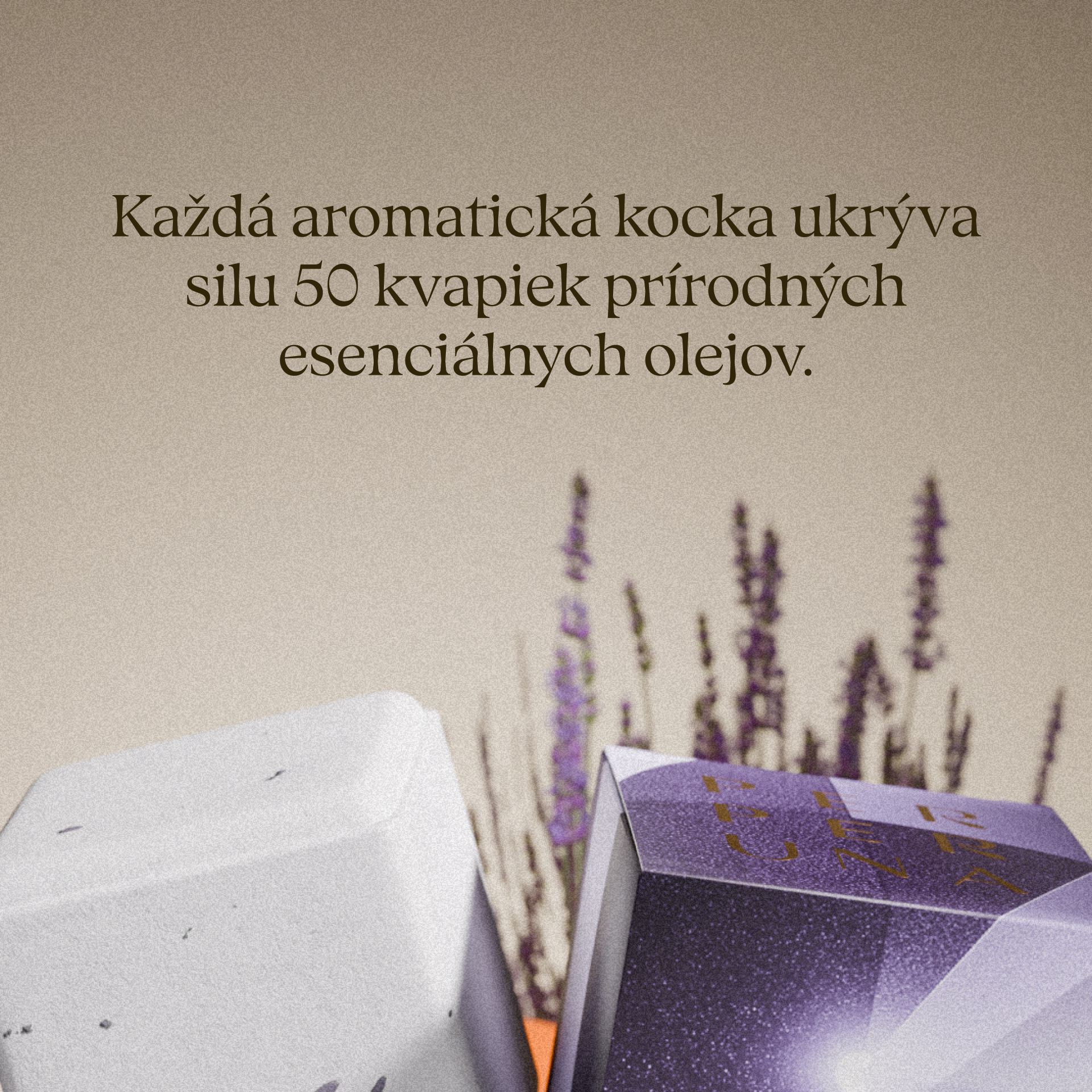 The Ritual - Kompletní set s kamennou miskou