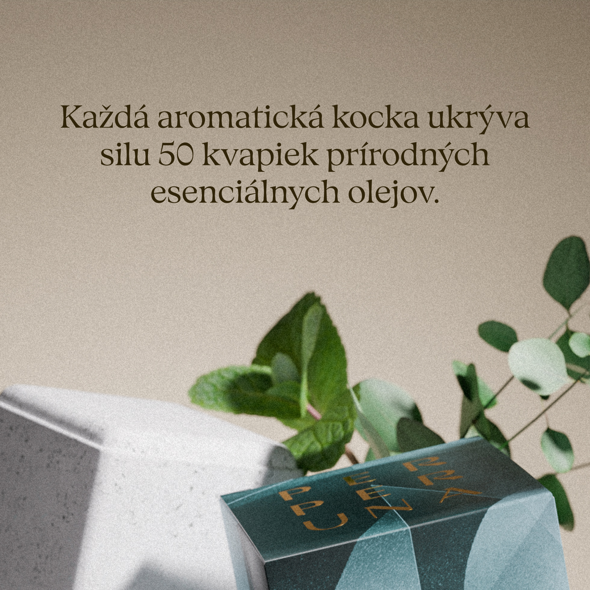 Breathe - Sprchová aromatická kostka