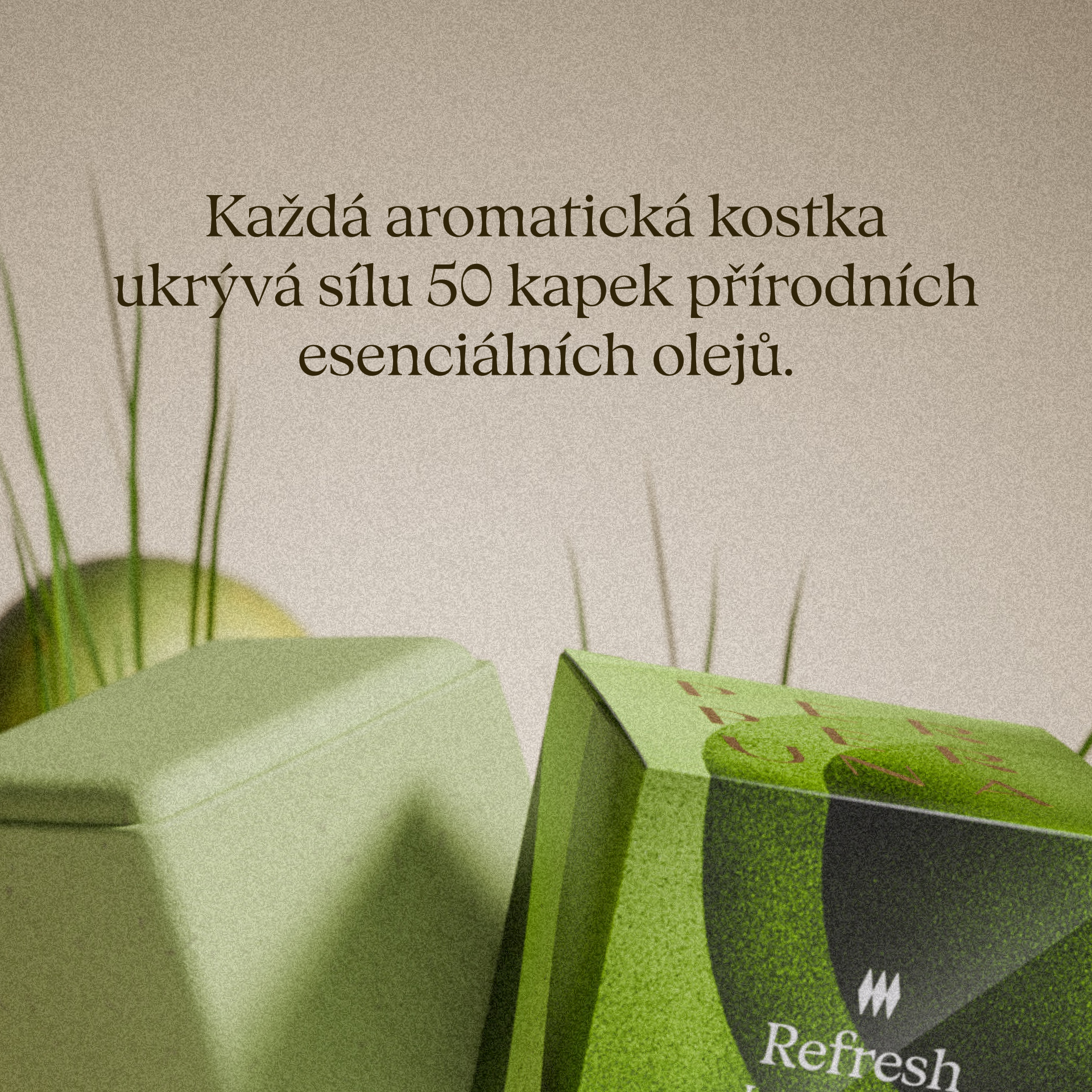Refresh - Sprchová aromatická kostka