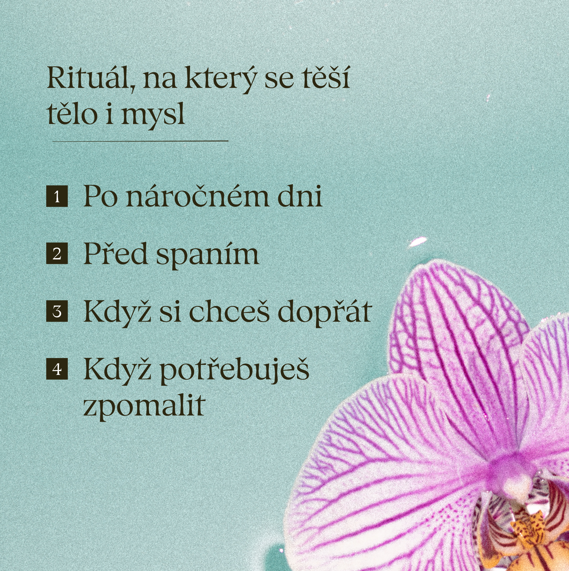 Nordic Forest - Čaj do koupele - Osvěžující a pročišťující