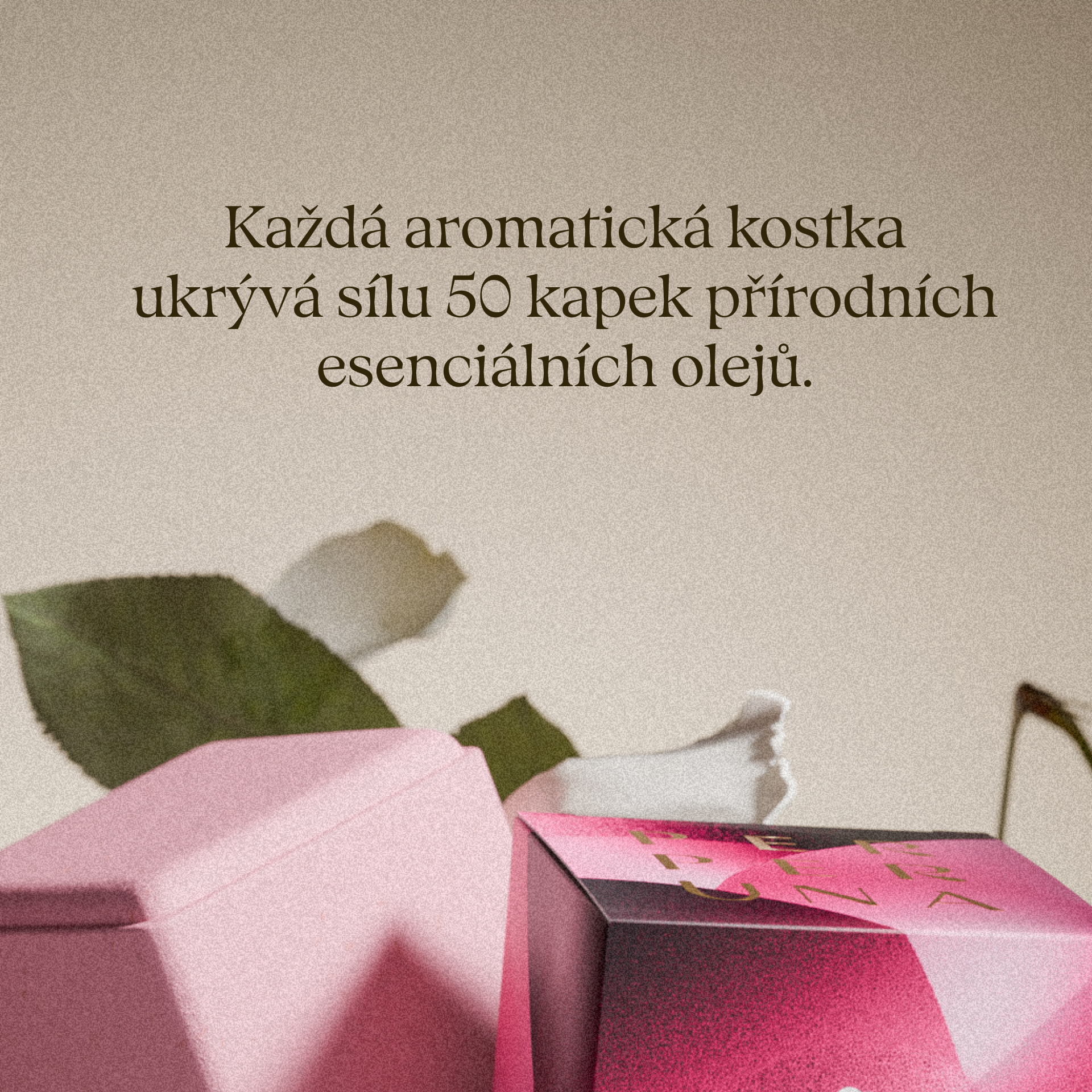 Love - Sprchová aromatická kostka