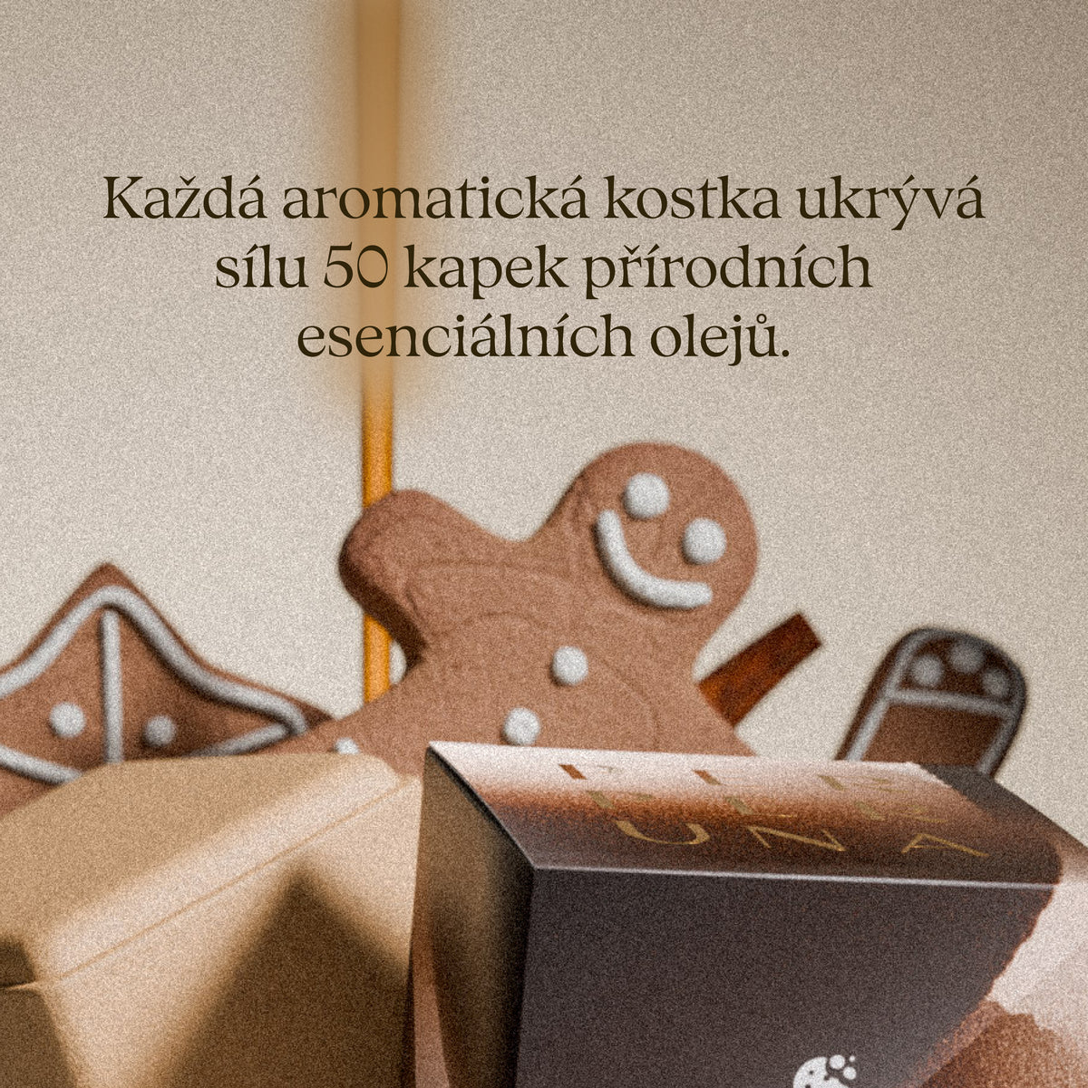 Každá aromatická kostka ukrývá sílu 50 kapek přírodních esenciálních olejů – Warm